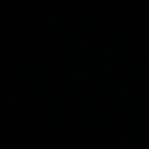 Meet your Posher, Spencer